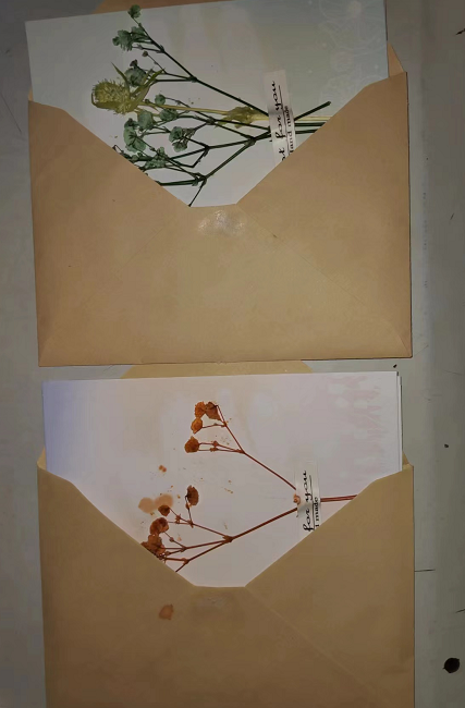 1665306042.png 图片4.png